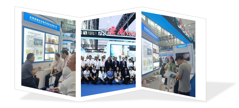 1688548282803403.png image.png